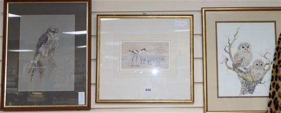 Frances Fry, watercolour, Study of owl chicks, 30 x 24cm, a pastel of a kestrel by Benenson and a print of avocets